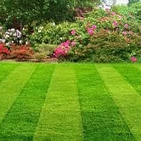 Lawn Care & Repair