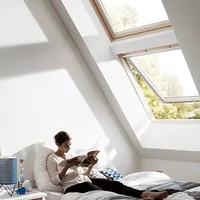 Roof Window Specialists Ltd.