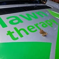 Lawn Therapy
