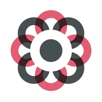 Carbon Law Partners