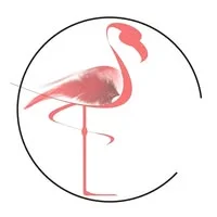 Flamingo Marketing Strategies Ltd