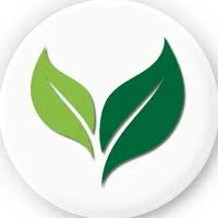 Simple Green Energy Ltd