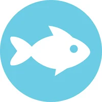 Curious Fish Websites (Burgess Hill)