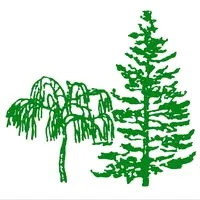 Wilfirs