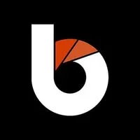 Blackwood IT Limited