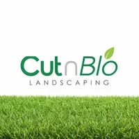 CUT N BLO LANDSCAPING