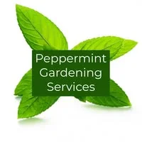 Peppermint gardening services